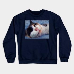 striped kitten Crewneck Sweatshirt